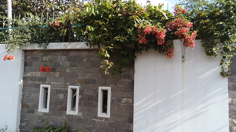 hình chụp từ one m8 eye hình chụp từ one m8 eye