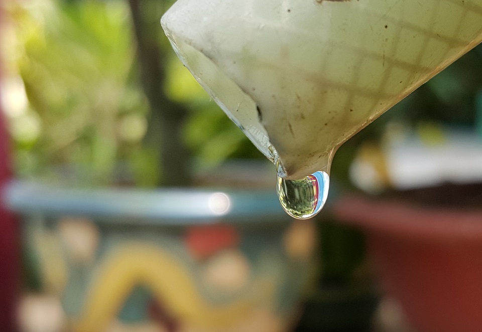 Hình ảnh chụp từ Samsung Galaxy S6 Edge Plus