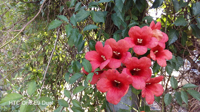 Hình chụp từ camera E9 Dual Hình chụp từ camera E9 Dual