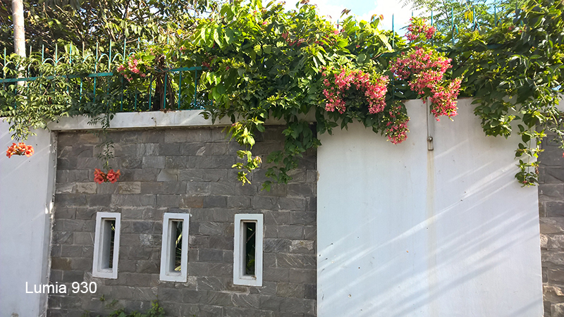 Hình chụp từ camera Lumia 930 Hình chụp từ camera Lumia 930