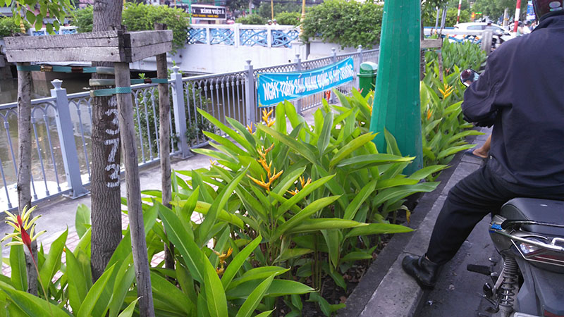 hinh chup tu vibe shot