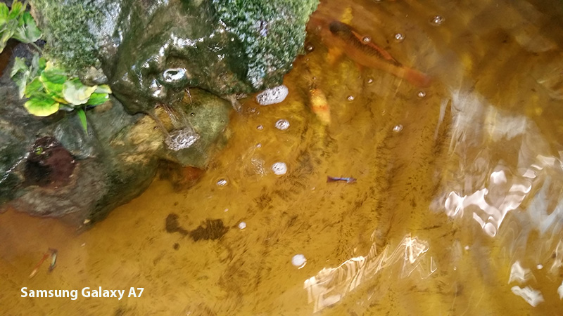 Camera Galaxy A7 Camera Galaxy A7