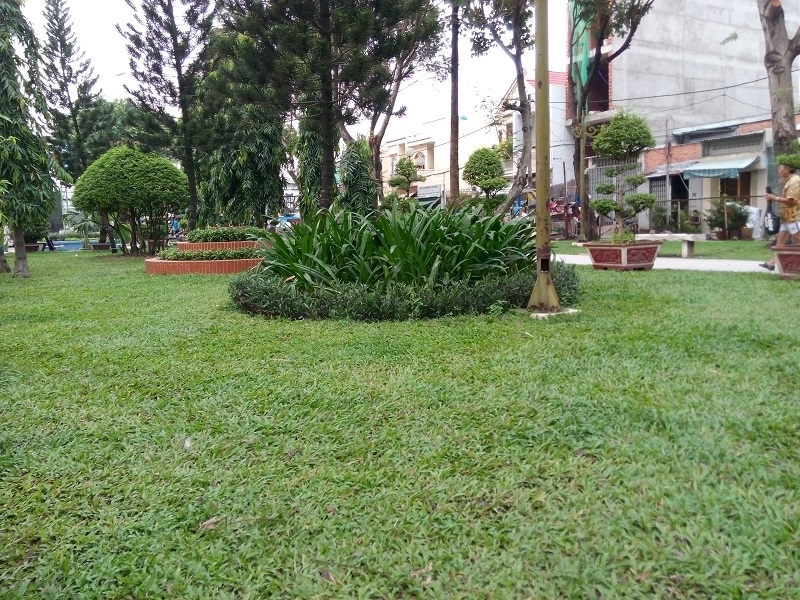 tu-dong-lay-net tu-dong-lay-net