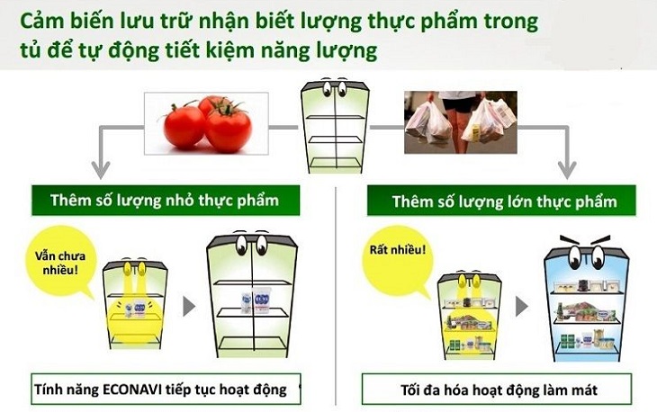 Cảm biến lưu trữ