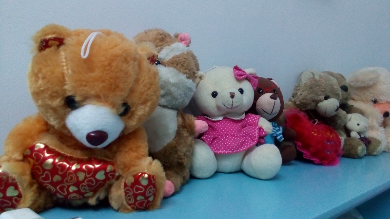 anh-chup-tu-zenfone-go