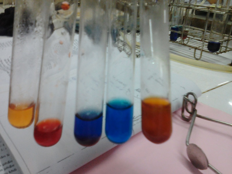 anh-chup-tu-lenovo-a1000