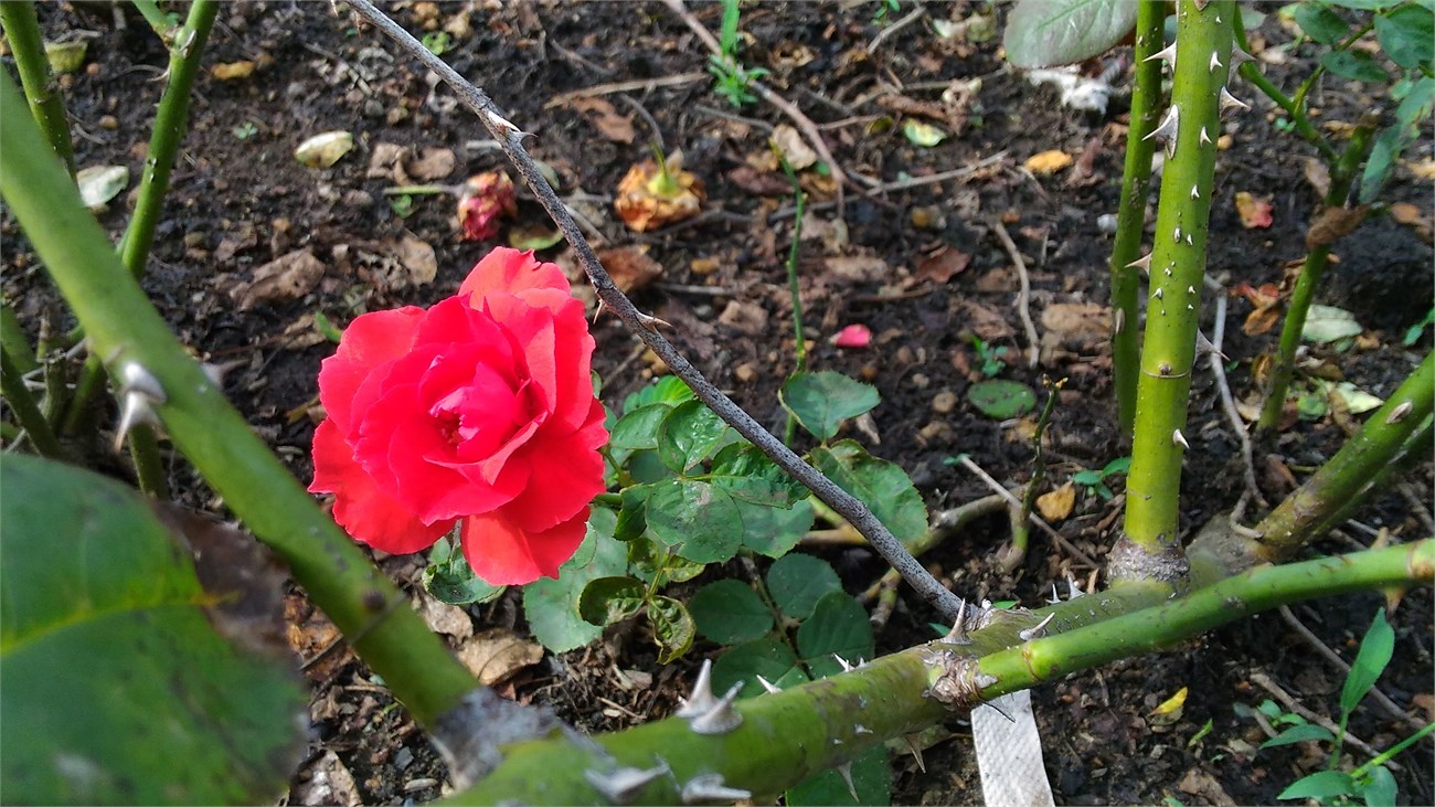 p_20151020_152357 p_20151020_152357