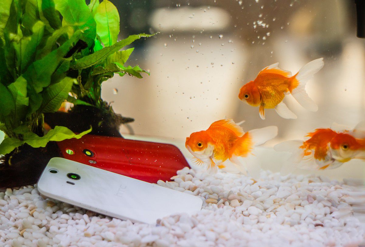 HTC Butterfly 2 chống nước