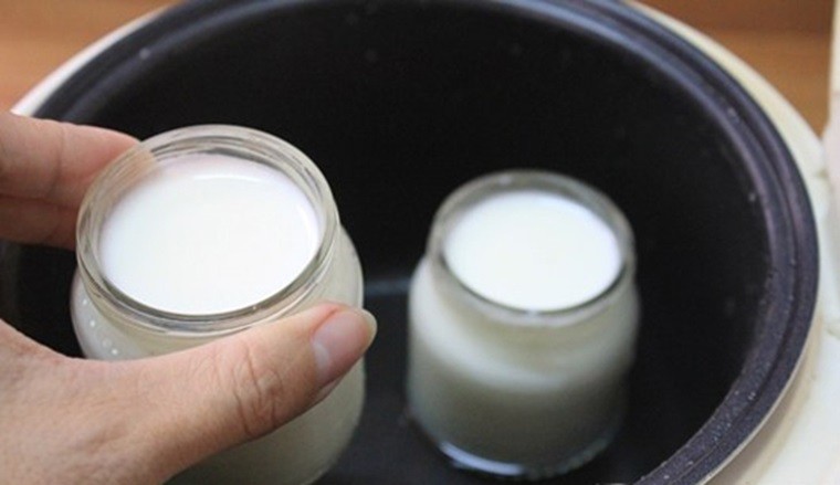 Tiếp theo, bạn đổ nước ấm vào nồi cơm điện, cho từng hũ sữa chua vào nồi, nước ngập khoảng 2/3 chiều cao của hũ là được. Đóng nắp nồi lại và ủ từ 4 đến 6 giờ, nếu là ngày lạnh bạn hãy bật chế độ giữ ấm “Keep Warm/ Hâm nóng” lên để ủ tốt hơn.