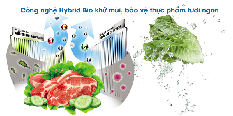 Công nghệ nổi bật trên tủ lạnh Toshiba > Công nghệ Hybrid Bio 
