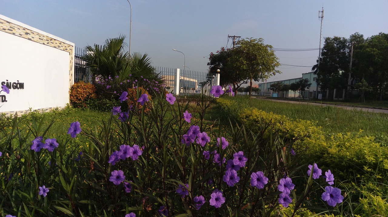 Hình ảnh chụp từ One E9 Dual Hình ảnh chụp từ One E9 Dual