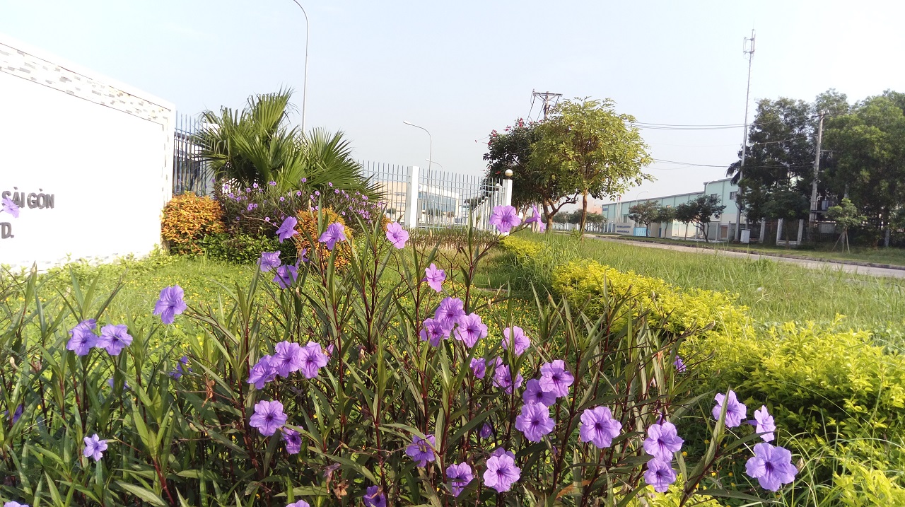 Hình ảnh chụp từ One E9 Dual Hình ảnh chụp từ One E9 Dual