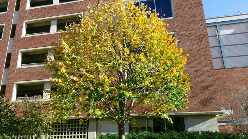 Anh chụp ngoài trời