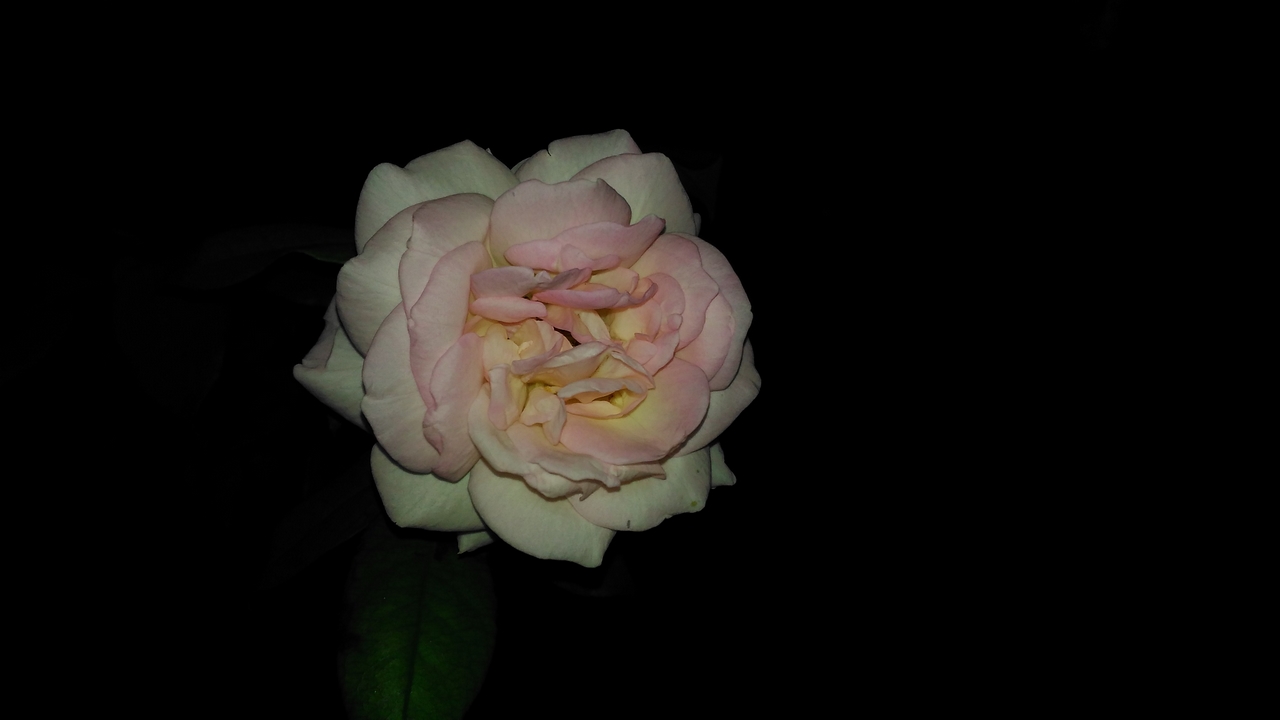 trainghiemzenfone2laser11