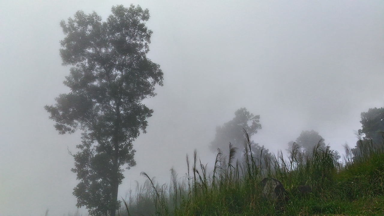 trainghiemzenfone2laser35