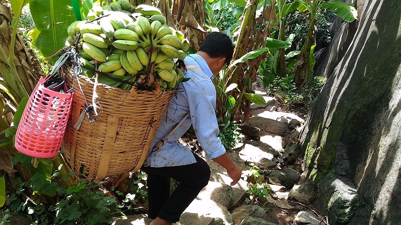 trainghiemzenfone2laser47