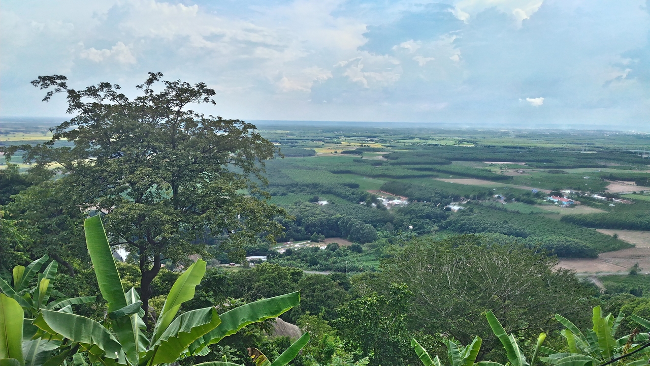 trainghiemzenfone2laser48