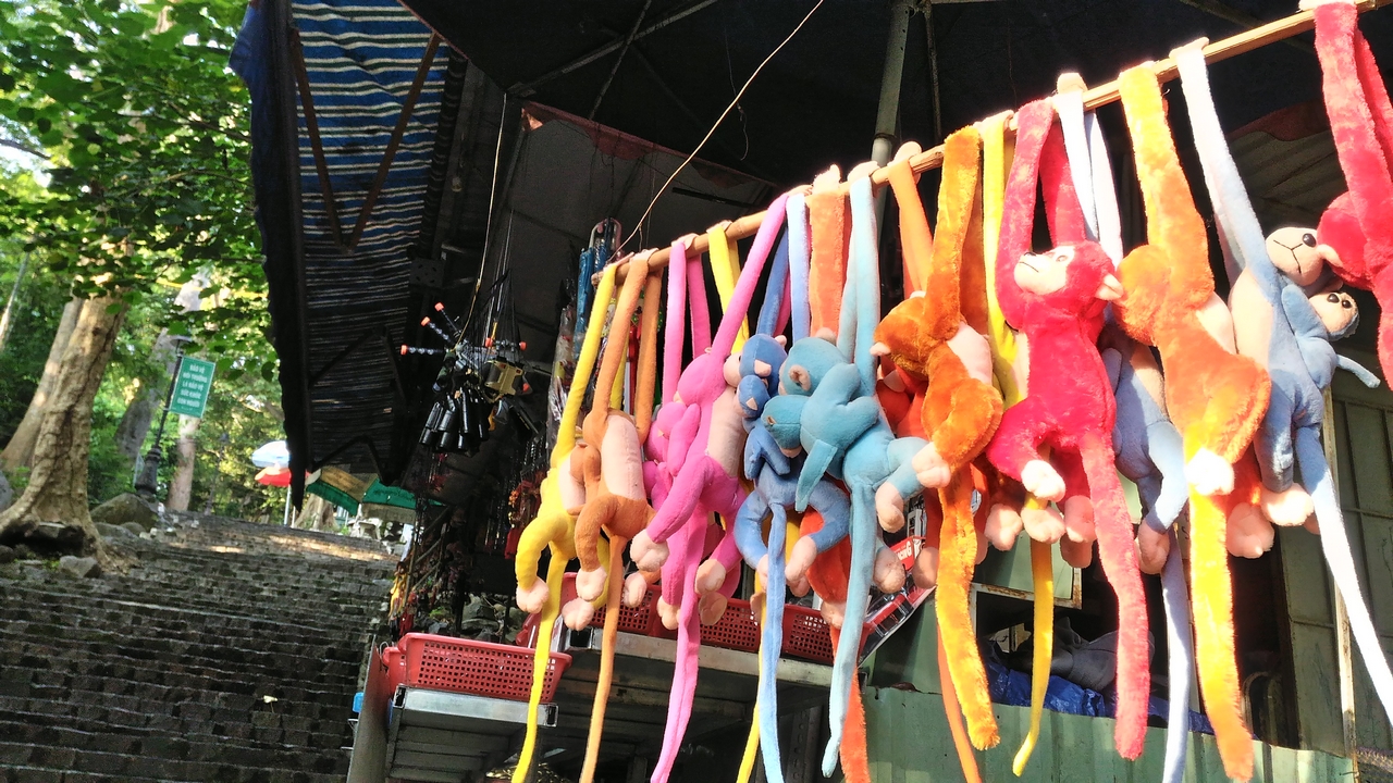 trainghiemzenfone2laser5