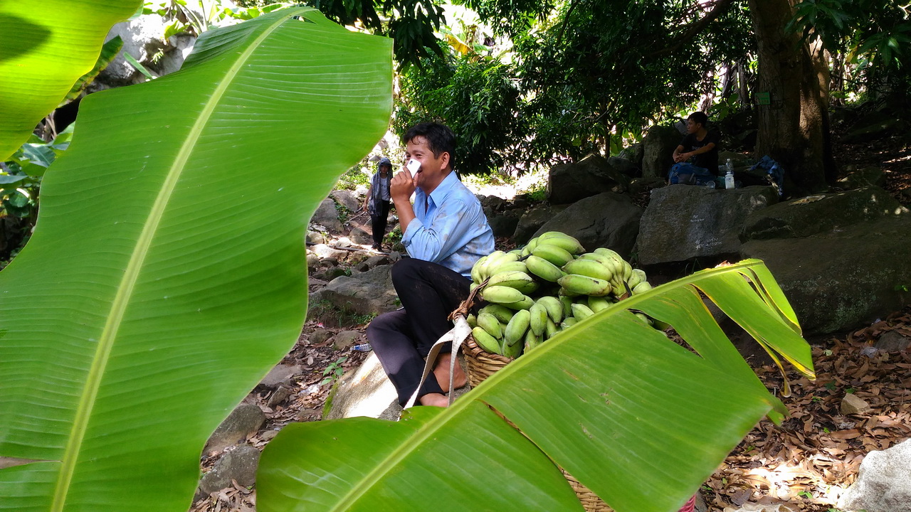 trainghiemzenfone2laser51