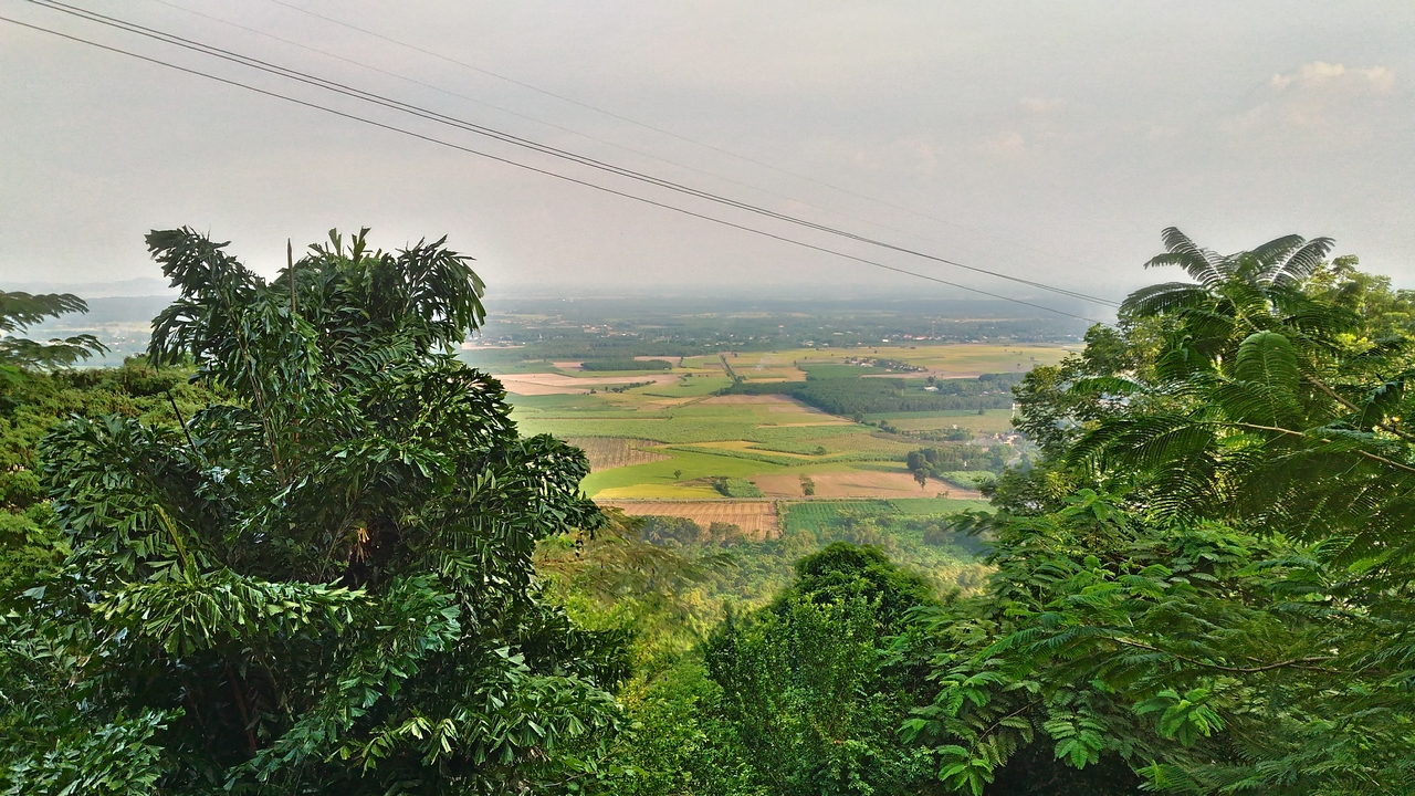 trainghiemzenfone2laser6