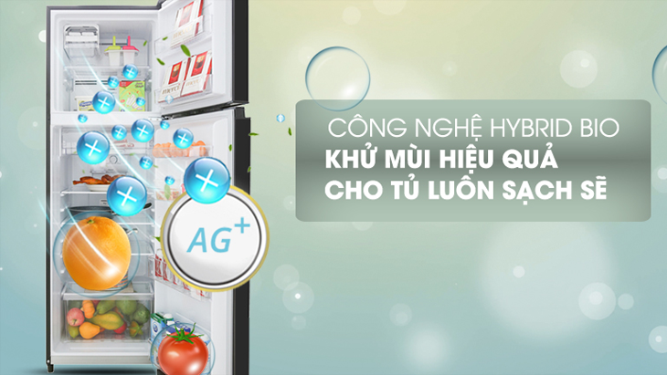 Công nghệ kháng khuẩn trên tủ lạnh Toshiba Công nghệ kháng khuẩn trên tủ lạnh Toshiba