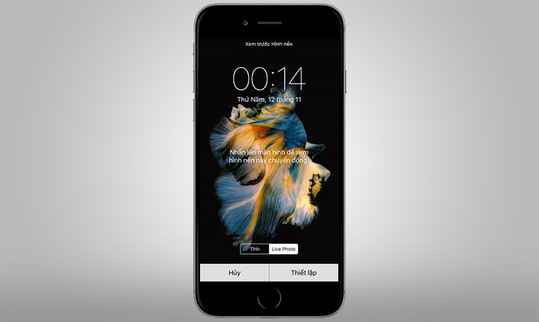 50 Hình Nền iPhone 6 Đẹp Độc Chất Ngất Trên Cành Quất