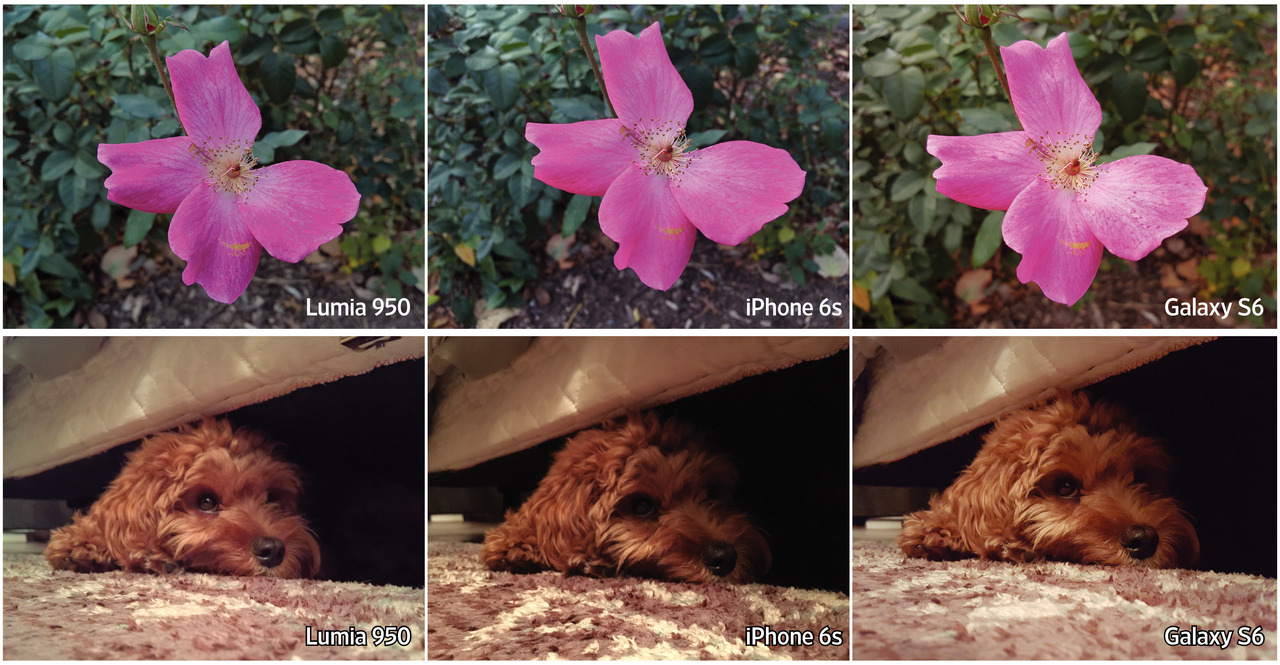 hình ảnh chụp từ Lumia 950 hình ảnh chụp từ Lumia 950