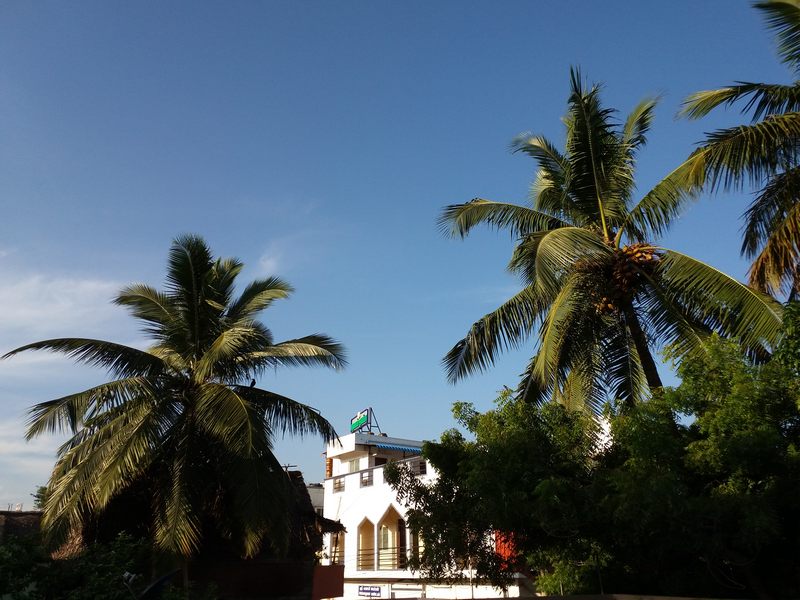 Ảnh chụp ban ngày