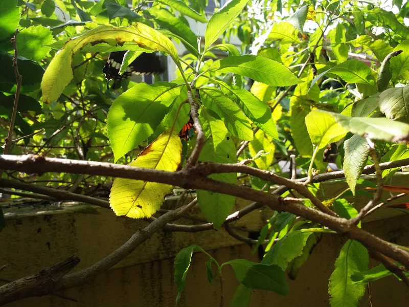 Ảnh chụp ban ngày