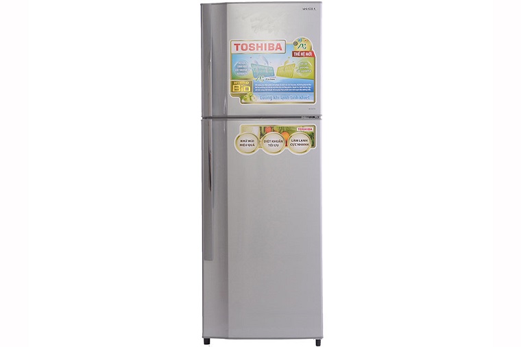 Tủ lạnh Toshiba GR-S25VPB (S) 226 lít