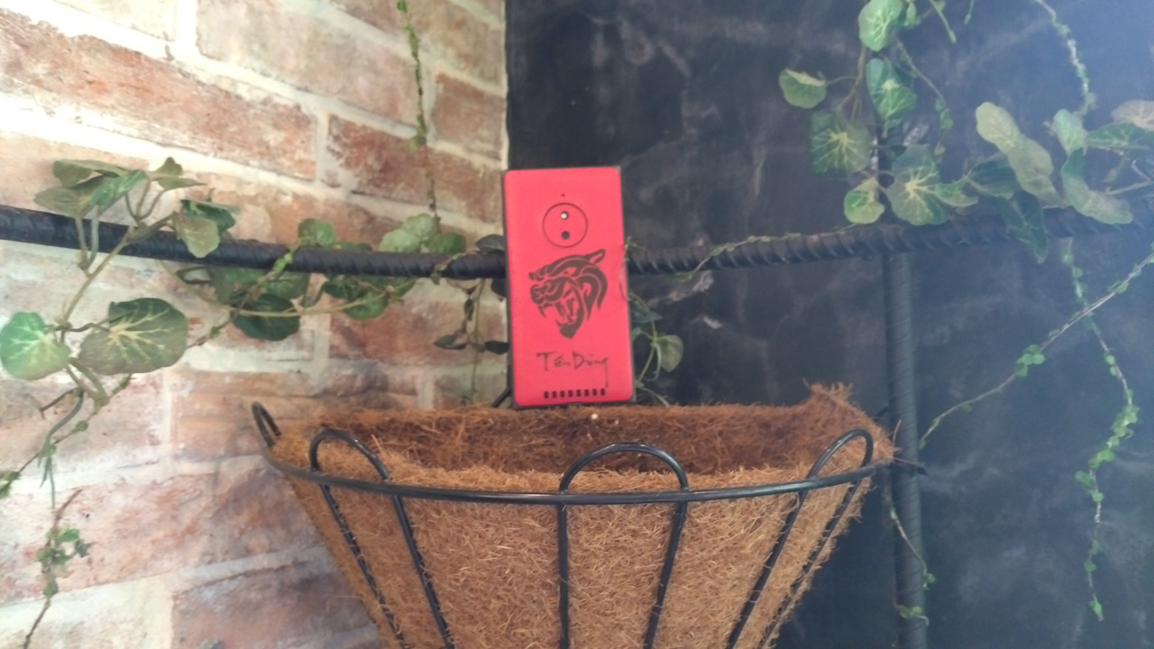 anh-chup-tu-lenovo-vibe-x3