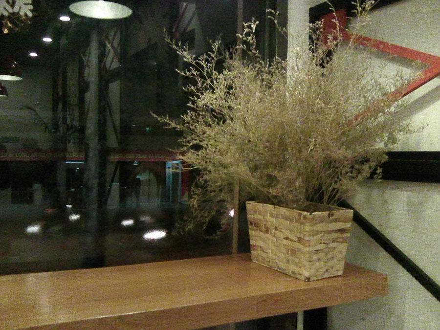 anhchuptunokia230 anhchuptunokia230