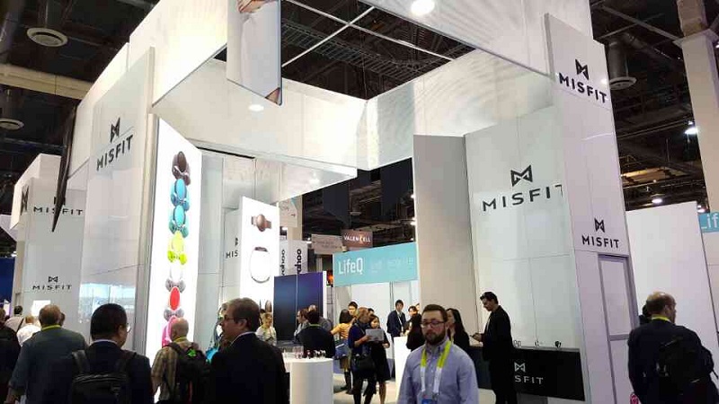 Misfit Ray Misfit Ray