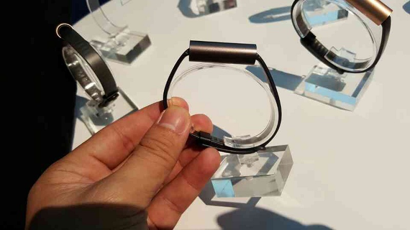 Misfit Ray Misfit Ray