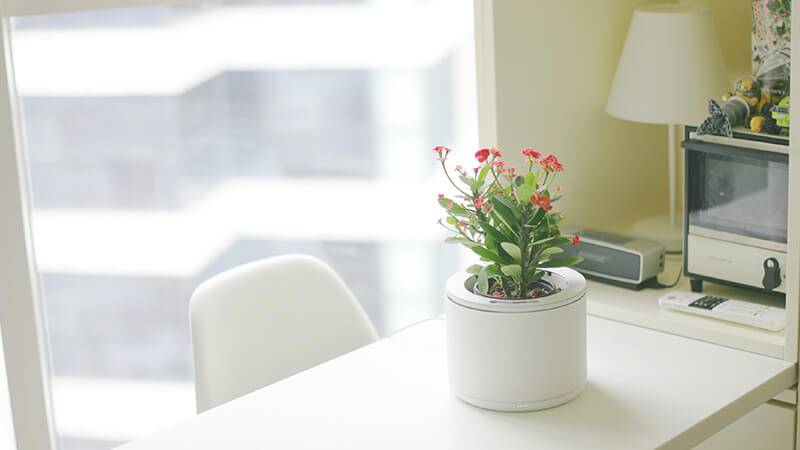 Top 8 tiện ích công nghệ nên trang bị cho gia đình vào năm mới!