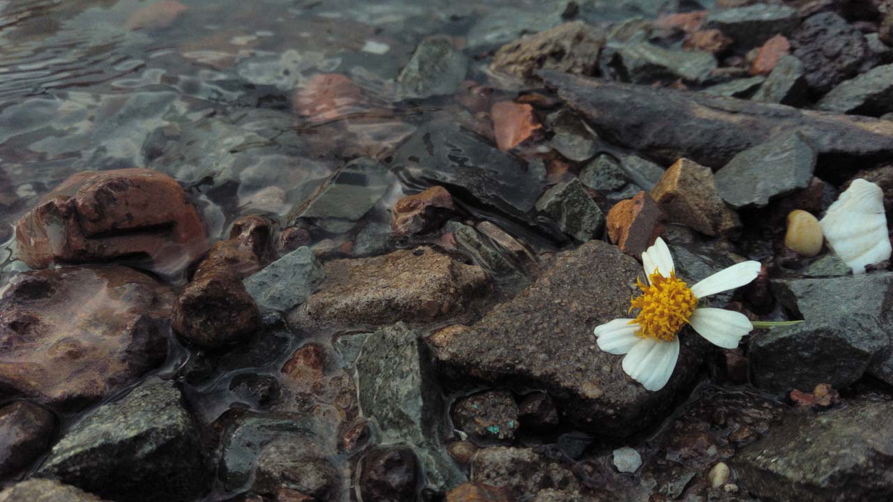 mobiistarprimexplus2 mobiistarprimexplus2