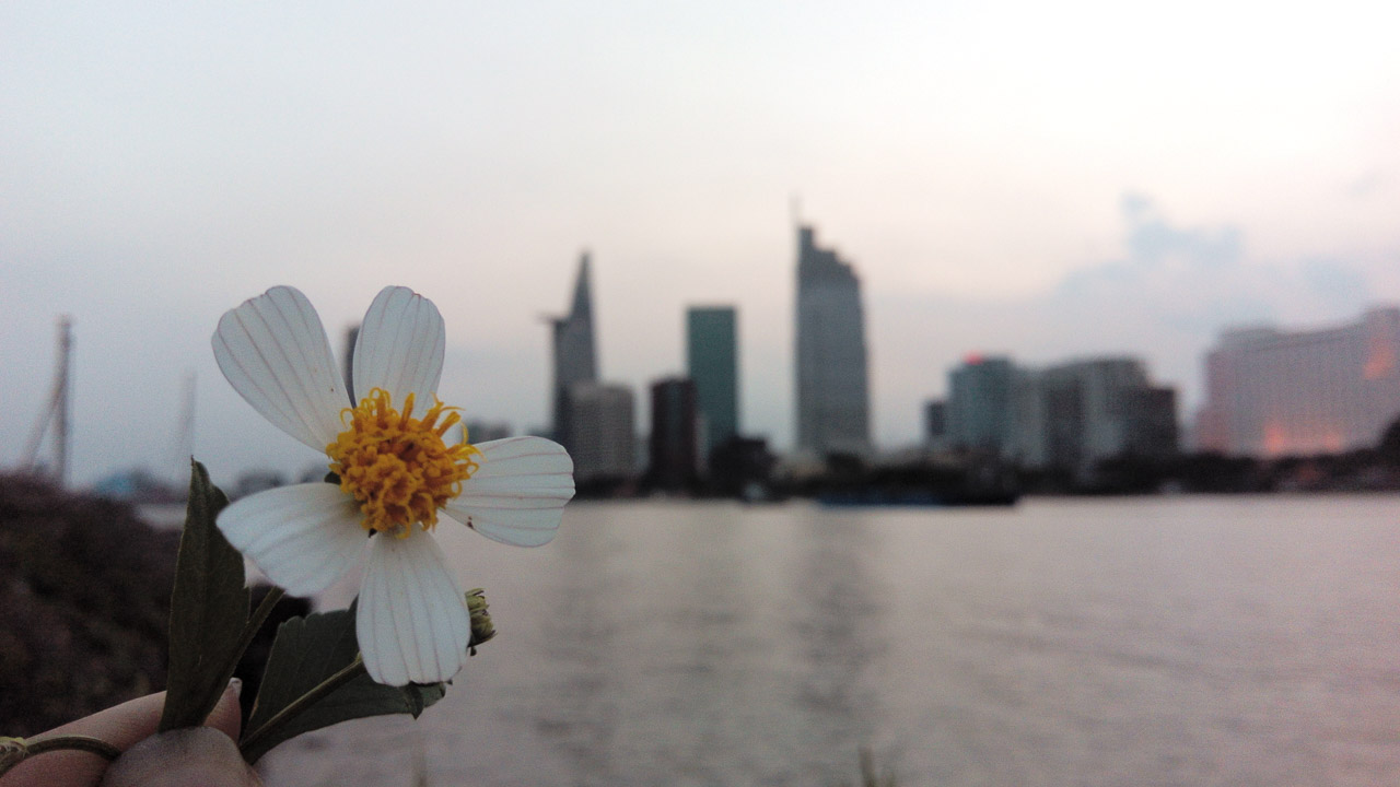 mobiistarprimexplus21 mobiistarprimexplus21