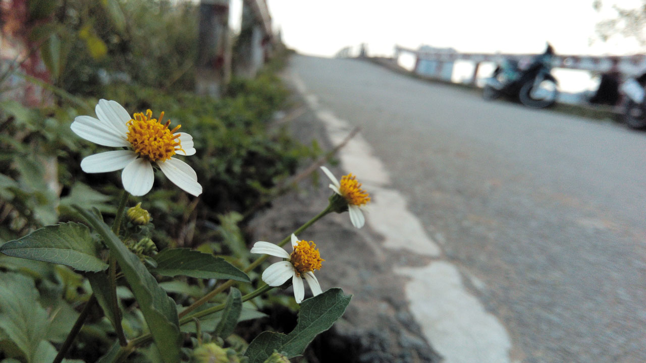 mobiistarprimexplus4 mobiistarprimexplus4