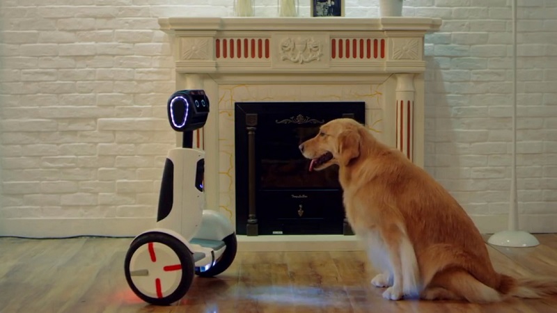 Hoverboard Butler Hoverboard Butler
