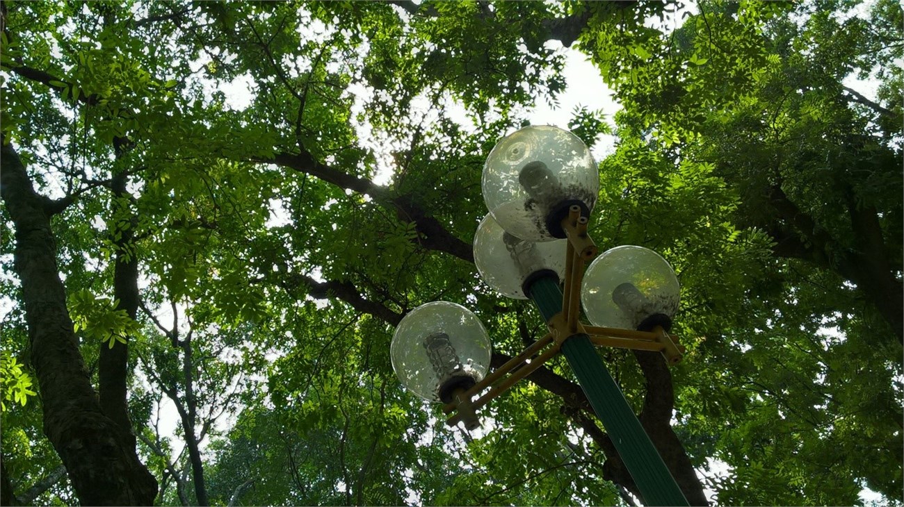 anh-chup-auto-lumia-550-05 anh-chup-auto-lumia-550-05