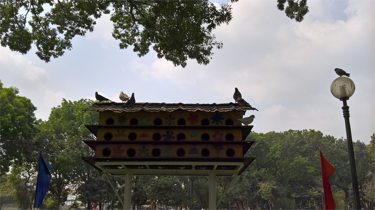 anh-chup-auto-lumia-550 anh-chup-auto-lumia-550