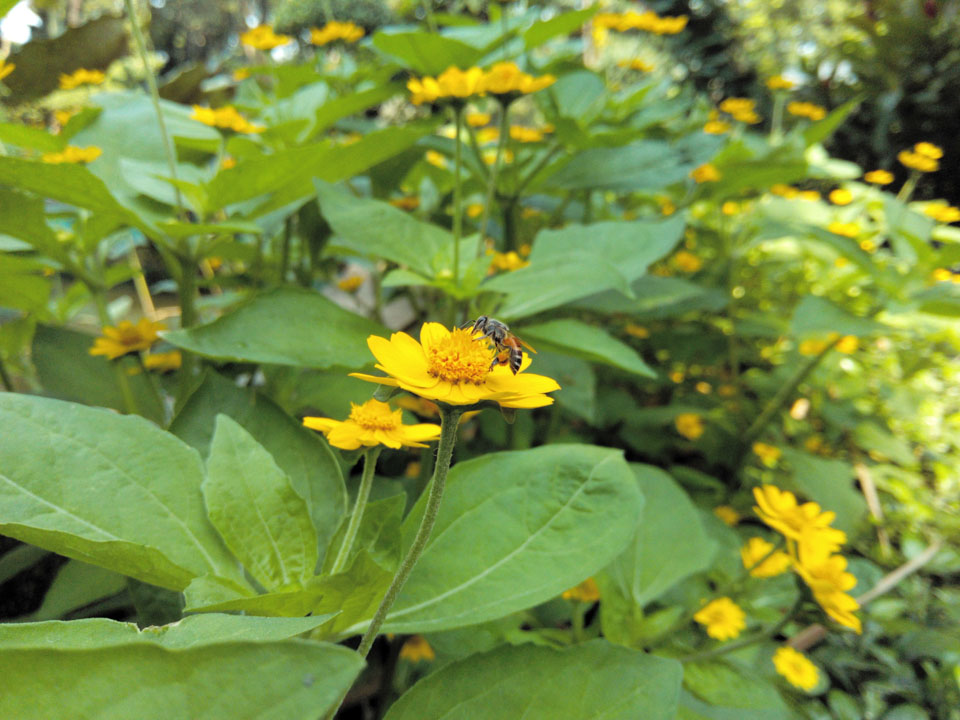 anh-chup-tu-prime-x-plus anh-chup-tu-prime-x-plus