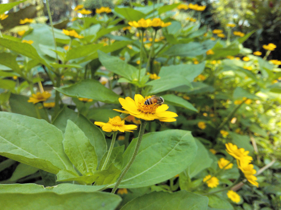 anh-chup-tu-prime-x-plus anh-chup-tu-prime-x-plus