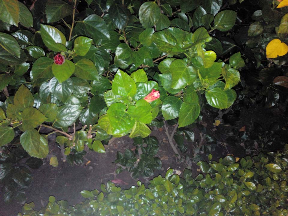 Ảnh-chụp-từ-Prime-X-Plus Ảnh-chụp-từ-Prime-X-Plus