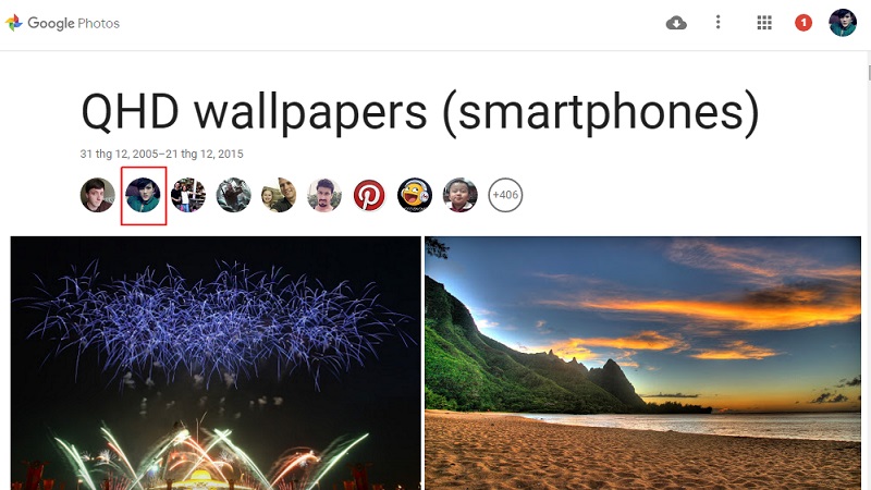 My Collection My Collection