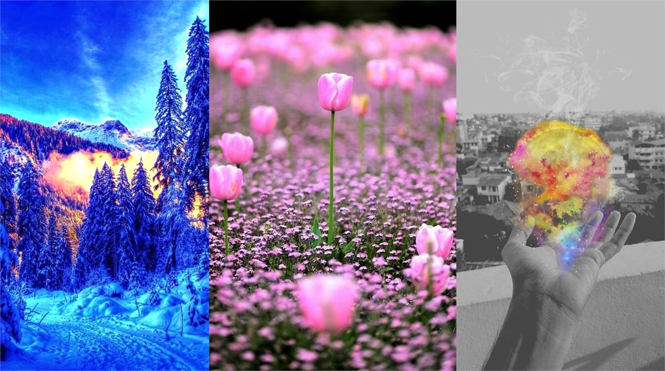 Phone Wallpapers Phone Wallpapers