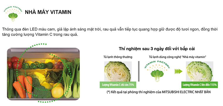 Nhà máy Vitamin nhân tạo