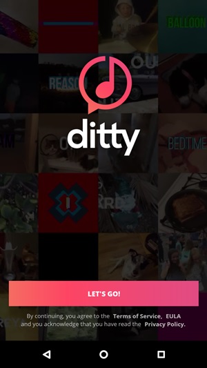 Ditty - Hát những gì bạn nhập