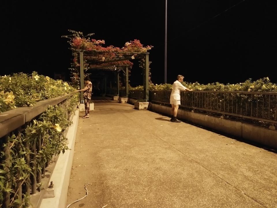 anh-chup-tu-oppo-f1 anh-chup-tu-oppo-f1