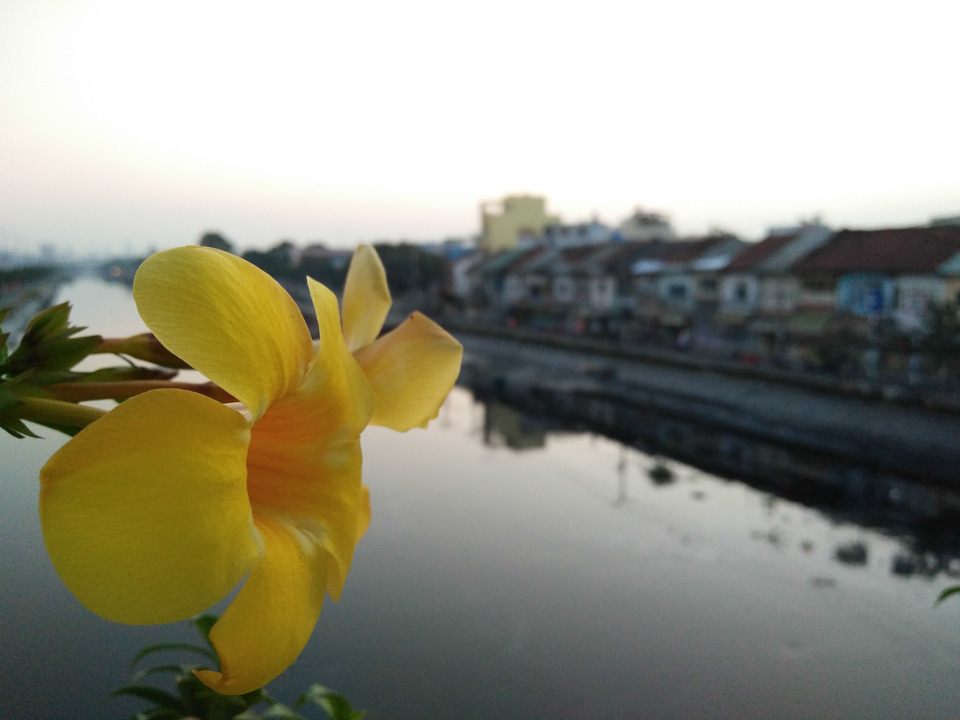 anh-chup-tu-oppo anh-chup-tu-oppo